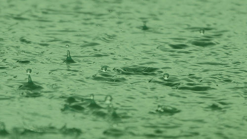 Regen water in de vijver