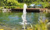 Springbrunnenpumpen