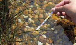 Vijverwater Testen