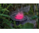 Pontec PondoFog RGB