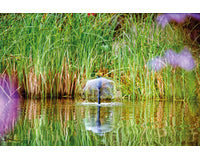 fot_prd_anw_77371-aquarius-fountain-set-classic-2000e-007_2