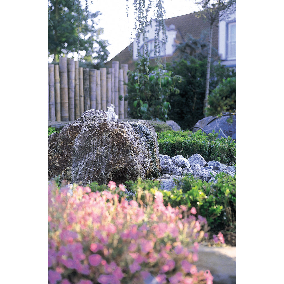 fot_wb_fo_0318_5
