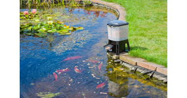 koi_feeder_solar_voerautomaat-2