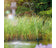 oase-aquarius-fountain-set-classic-750_da716_2