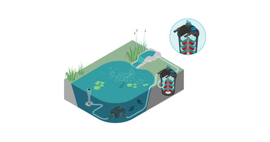 oase-filtoclear-schematisch