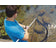 oase-pondovac-premium-vijver-stofzuiger-011