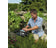vijverleven_hozelock_bioforce_revolution_28000_uvc_filterset_3__1