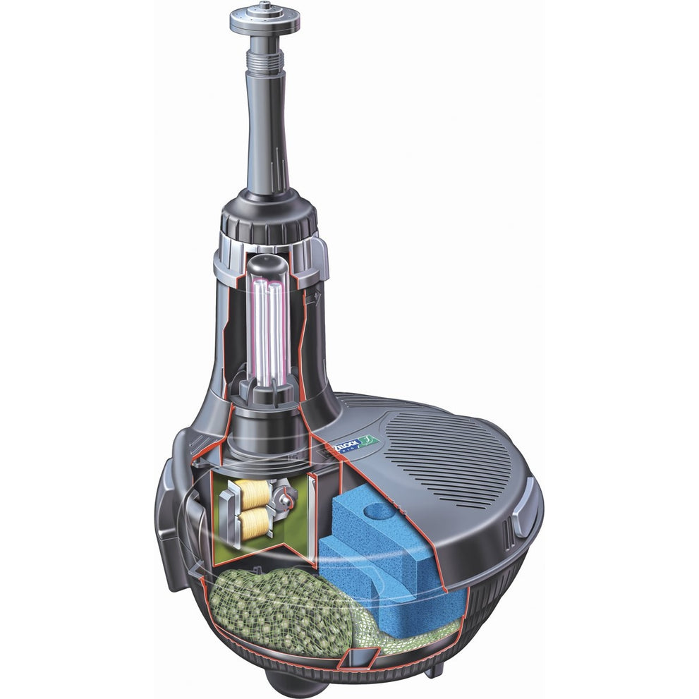 9200000038493956_2_1