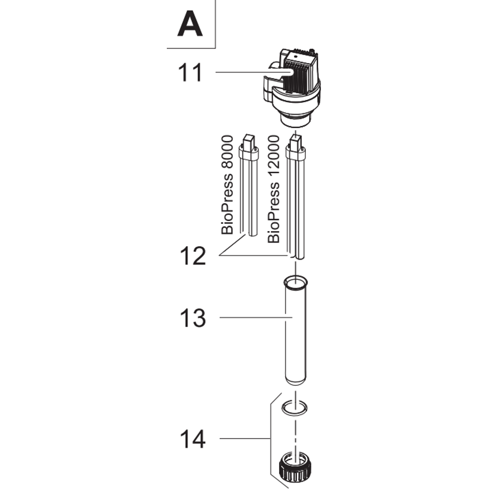 biopress_2012000_20tekening_20a