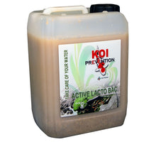 Koi Prevention Lacto Bac. 5 liter