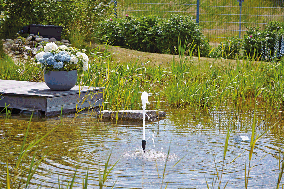 fontein-sproeikop-oase-schuimbron-22-5-k-voorbeeld_202