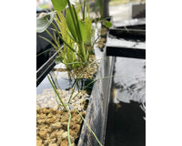 image_50422785_middel__2_1