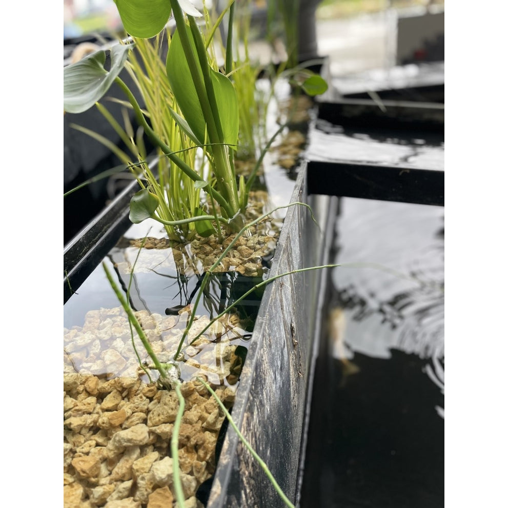 image_50422785_middel__2_1