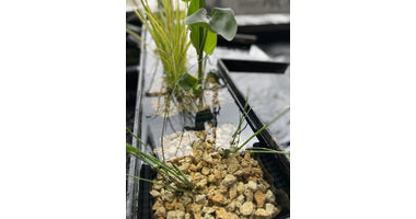 image_50427905_middel__1_1