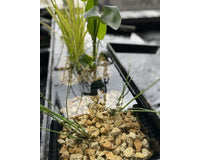 image_50427905_middel__2_1