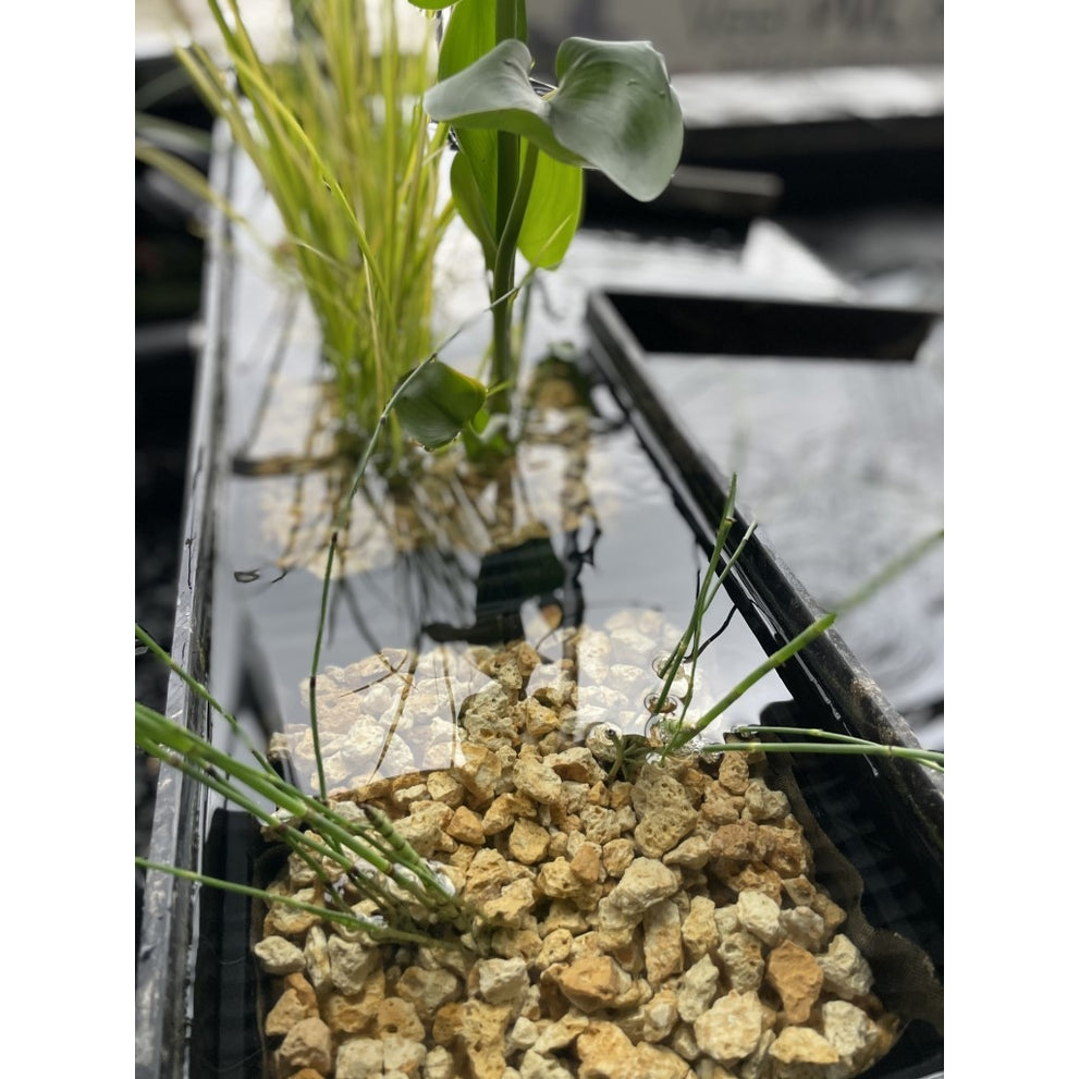 image_50427905_middel__2_1