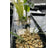 image_50427905_middel__3
