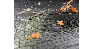 img_8754_1