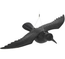 Raaf Vogelverschrikker Zwart - Vliegend