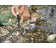 oase_20aquanet_20vijverafdeknet_201_20004