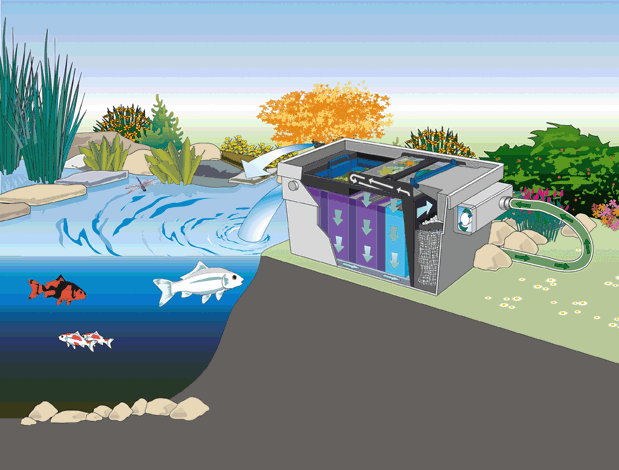 oase_20bitron_20c_2024_20watt-006