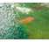 oase_20oxytex_201000_2004