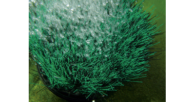 oase_20oxytex_20set_201000_2003