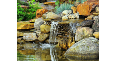pond-lifstyle_1