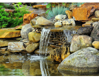 pond-lifstyle_1