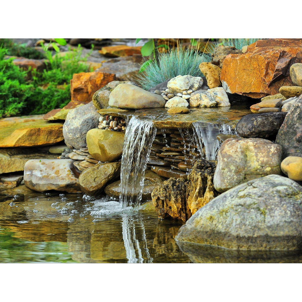 pond-lifstyle_1