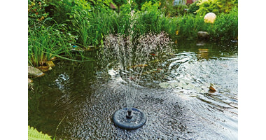 pondoclear_20island_203000