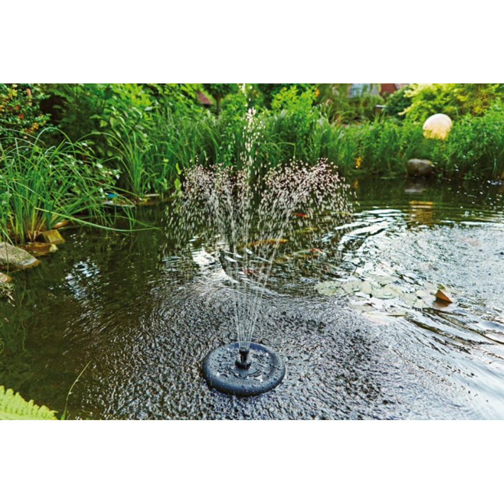 pondoclear_20island_203000