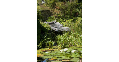 stream_at_the_pond-1