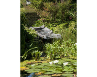 stream_at_the_pond-1