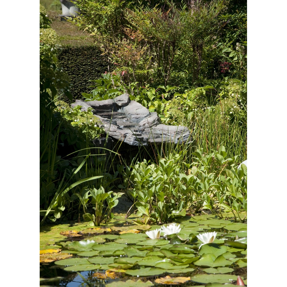 stream_at_the_pond-1_2_1