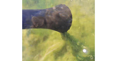 vijerleven_oase_pondovac_3_04
