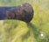 vijerleven_oase_pondovac_3_04