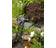 vijverleven_hozelock_bioforce_revolution_28000_uvc_1__1