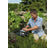 vijverleven_hozelock_bioforce_revolution_28000_uvc_4__1