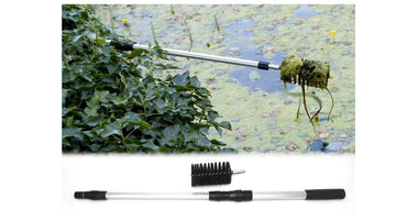 vt-algae-brush-01