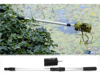 vt-algae-brush-01