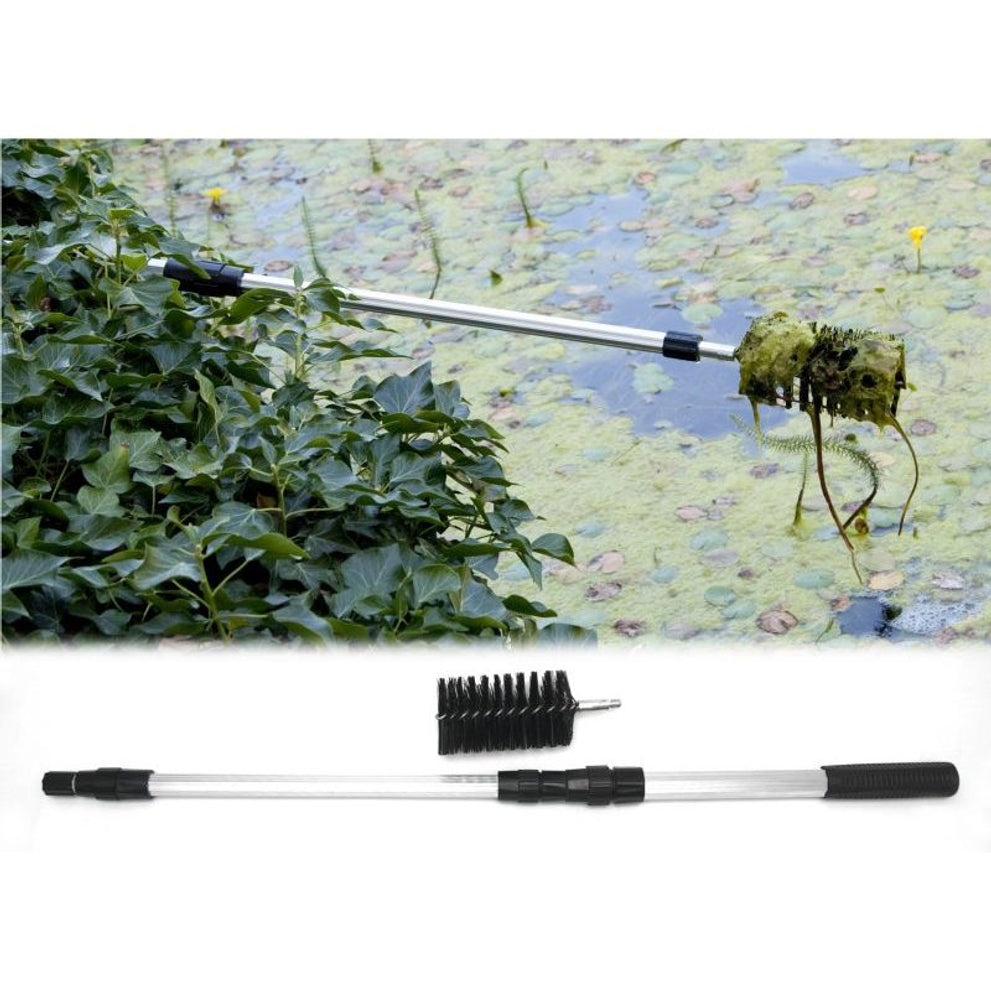 vt-algae-brush-01