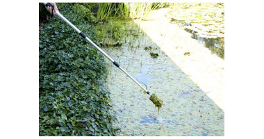 vt-algae-brush-02