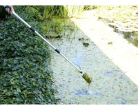 vt-algae-brush-02