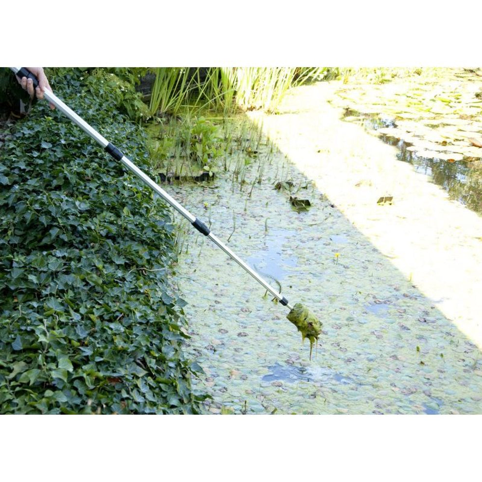 vt-algae-brush-02
