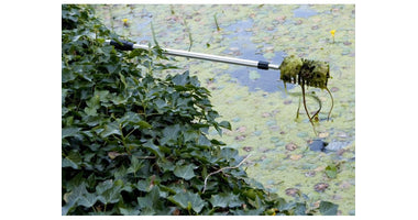 vt-algae-brush-03