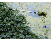 vt-algae-brush-03