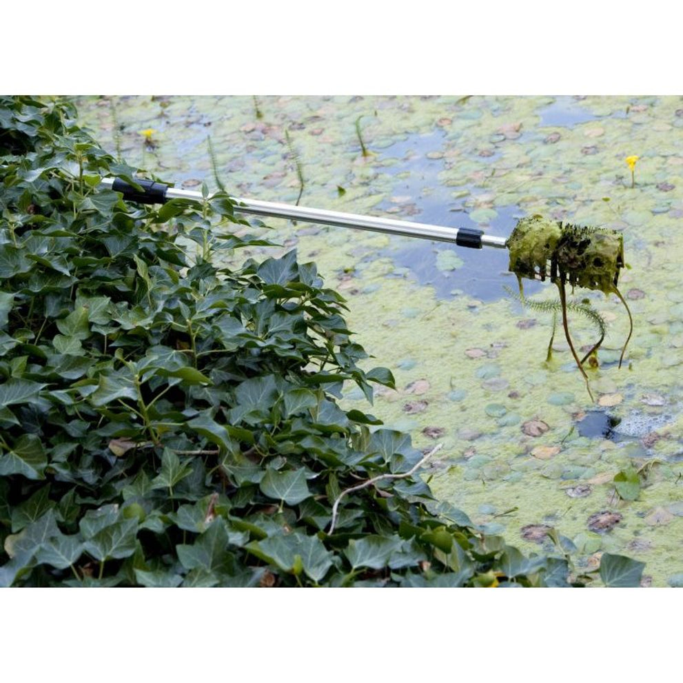vt-algae-brush-03