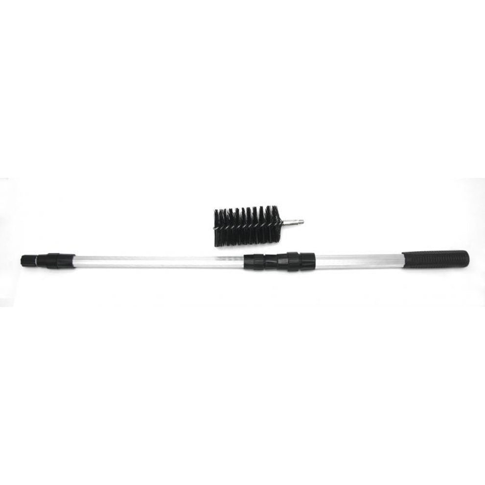 vt-algae-brush-04