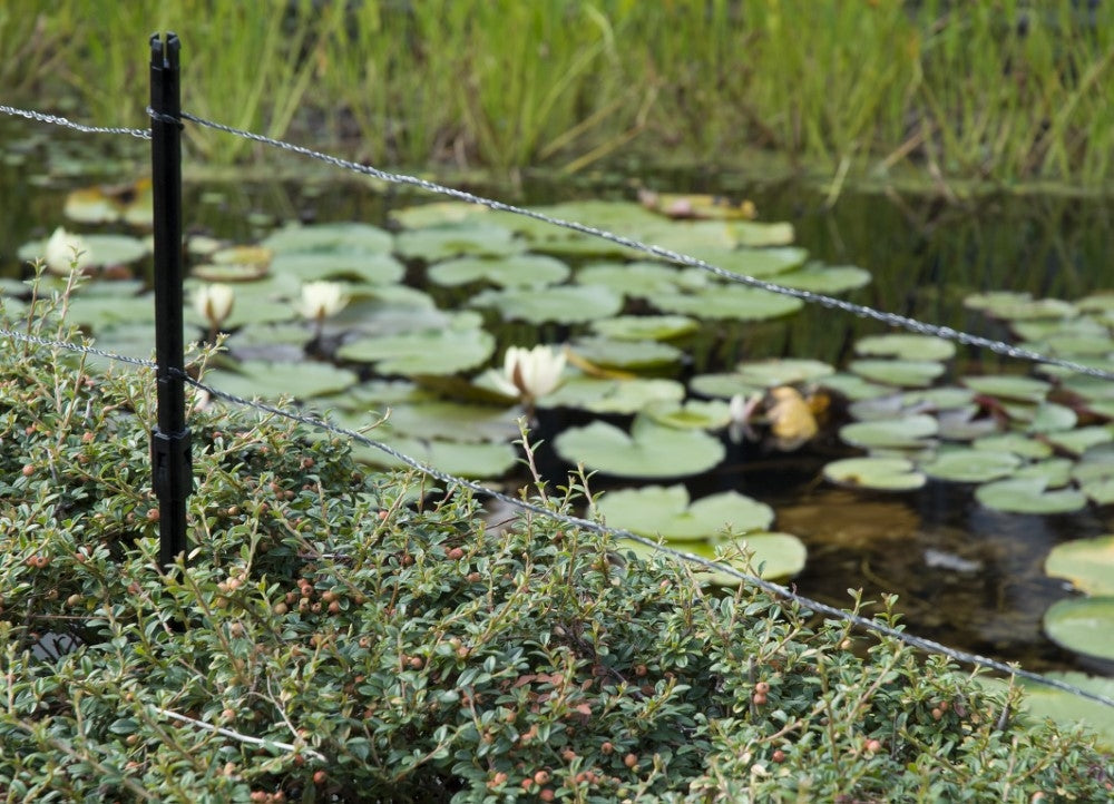 6530fad76a3d201f233898a046ec7938